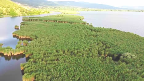 Lake-Pamvotida-in-Ioannina-Greece,-Aerial-Dolly-Shot-of-Green-Wetland