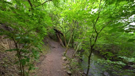 Natural-monument-Meandry-Botice,-Prague,-Europe,-walking-along-the-river