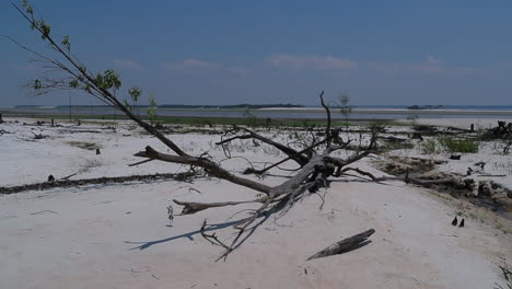 View-of-parts-of-the-Rio-Negro-and-its-tributaries-affected-by-a-record-drought-that-hit-the-Amazon-region-in-Brazil