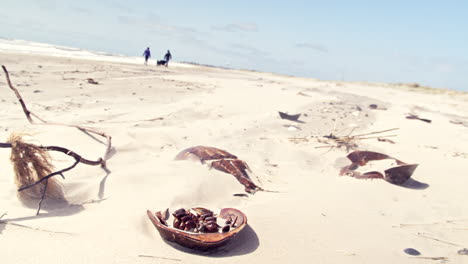 Cangrejos-De-Arena-Muertos-Yacen-En-La-Playa-De-Arena-En-Un-Día-Ventoso,-Una-Pareja-De-Siluetas-Pasea-A-Un-Perro-En-El-Fondo