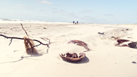 Sand-Crab-Shells-on-Beach-with-Couple-Walking-Dog-in-Background-Silhouette