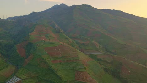 Terraced-agriculture-farm-plantation-on-volcano-Gunung-Prau,-Indonesia,-aerial