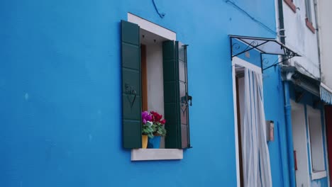 Vibrant-blue-wall-on-Burano-Island,-Venice,-with-an-open-window-adorned-with-green-shutters-and-a-pot-of-colorful-flowers-on-the-windowsill