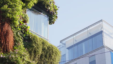 Pájaro-Aterriza-En-Un-Exuberante-Jardín-Vertical-En-El-Costado-De-Un-Edificio-En-Estocolmo,-Teleobjetivo