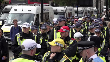 Units-of-Metropolitan-police-officers-in-riot-uniforms,-including-sergeants,-inspectors-and-gold-command-chief-inspectors,-stand-together-next-to-a-line-of-parked-police-vans-on-a-public-order-event
