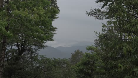 Paisaje-O-Casas-Y-Entorno-De-Personas-Que-Viven-En-Nagaland,-India.