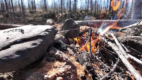 A-small-campfire-burns-among-rocks-and-dry-leaves-in-a-forest-clearing-during-a-calm-autumn-afternoon,-surrounded-by-bare-trees
