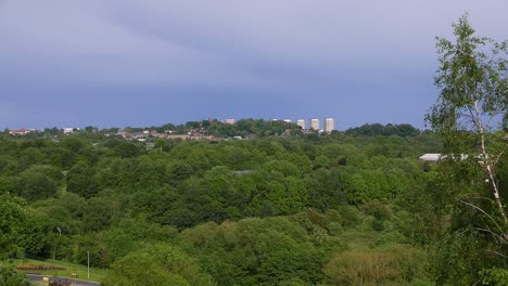 Trees-growing-in-an-urban-environment-with-blocks-of-flats-in-the-background