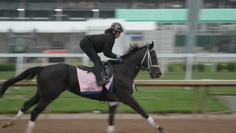 Imágenes-De-Tarifa,-Un-Caballo-De-Carreras,-Durante-Los-Entrenamientos-Matutinos-En-Churchill-Downs,-Preparándose-Para-Los-Kentucky-Oaks.