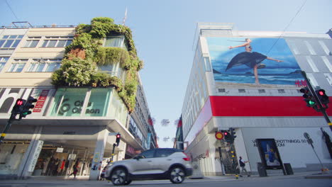 Lebende-Wände-Und-Vertikale-Gärten-An-Der-Seite-Eines-Gebäudes-In-Stockholm