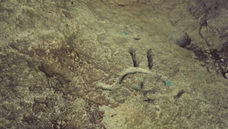 Petroglyphs-Inside-The-Deaf-Stones-Niche-In-Haskovo-Region,-Bulgaria