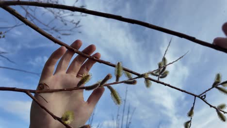 Una-Mano-Se-Extiende-Hacia-Arriba,-Agarrando-La-Rama-De-Un-árbol-Arriba