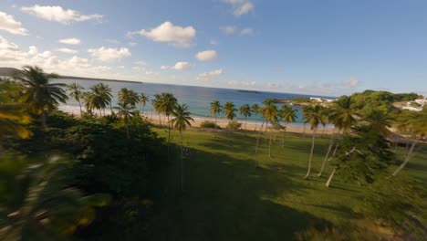 FPV-drone-descends-between-palm-trees-to-sandy-beach-with-crashing-waves-as-families-play