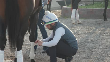 Footage-of-an-outrider-carefully-taping-up-a-race-horse's-legs-after-morning-workouts-at-Churchill-Downs,-preparing-for-upcoming-races