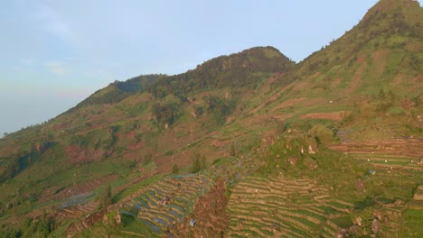 Potato-plantation-on-a-steep-hill-in-Indonesian-highlands,-aerial-forward