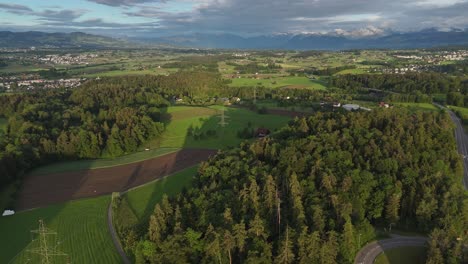 Luftaufnahme-Der-Grünen-Schweizer-Landschaft-Mit-Wald,-Bergen-Im-Hintergrund