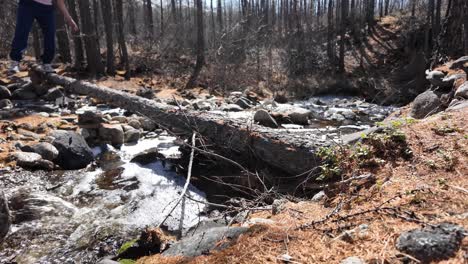 A-person-carefully-navigates-their-way-across-a-fallen-log-in-a-dense-forest,-showcasing-balance-and-concentration-in-the-natural-environment