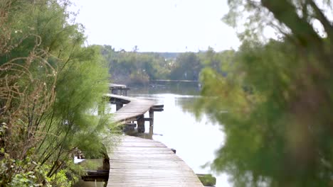 En-Afek-Nature-Reserve-,-Kiryat-Bialik,-Israel-05-30-2024