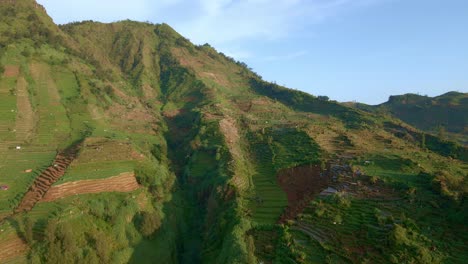Terraced-potato-plantation-on-rural-highlands-in-Indonesia,-aerial-dolly-in