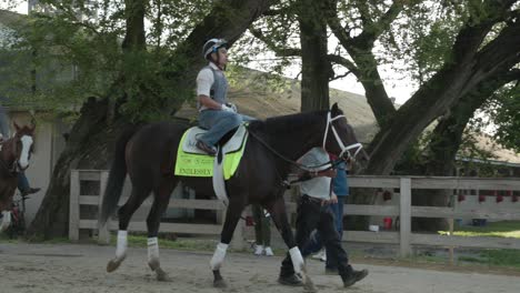 Imágenes-De-Infinitamente,-Un-Caballo-De-Carreras,-Calentando-Durante-Los-Entrenamientos-Matutinos-En-Churchill-Downs-En-Preparación-Para-El-Derbi-De-Kentucky.