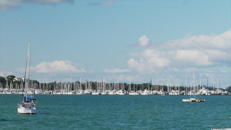 Hundreds-of-boats-moored-up-in-Auckland-harbour,-New-Zealand