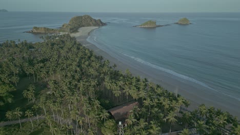 Forward-aerial-of-palm-trees,-sand-beach-and-ocean-in-the-Philippines