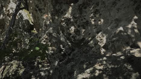 Closeup-Texture-Of-The-Deaf-Stones---Thracian-Cult-Monument-In-Haskovo,-Bulgaria