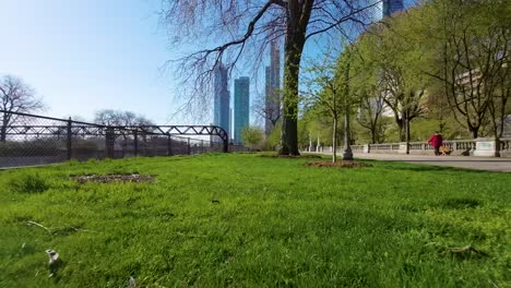 FPV-drone-footage-of-A-tranquil-walkway-meanders-through-a-lush-green-park-in-Chicago-,-flanked-by-b-trees-and-lamp-posts