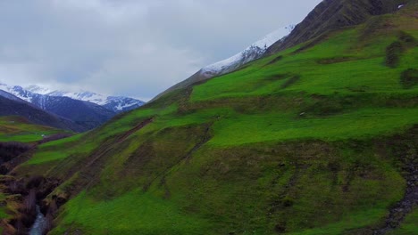 Montañas-Nevadas-Con-Pastizales-De-Montaña-En-Primer-Plano