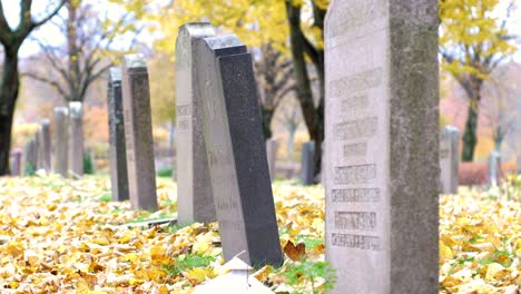 Tombstones-and-Dried-leaves-of-trees-scattered-in-Kviberg-Cemetary,-Gothenburg,-Sweden---close-up