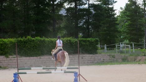 horse-trot-with-jockey-next-to-hurdle