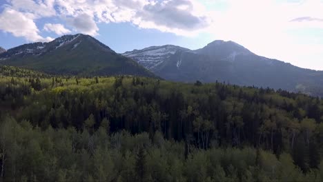 Un-Dron-Se-Desplaza-Sobre-Los-álamos-Y-Los-árboles-De-Hoja-Perenne-En-El-Cañón-American-Fork-Cerca-Del-Monte-Timpanogos.