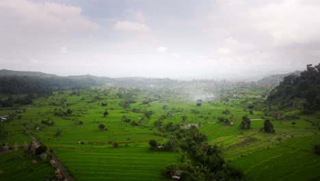 Flying-Over-Rice-Fields-On-A-Misty-Day-In-Bali,-Indonesia---Drone-Shot