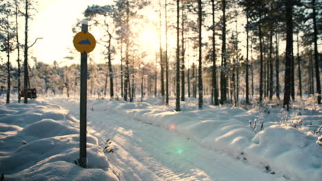 Motos-De-Nieve-Desde-Atrás-En-Un-Sendero-Un-Soleado-Día-De-Invierno-En-Un-Bosque-Nevado