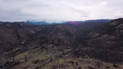 Colorado---Pine-forest-affected-by-blight,-fire-and-deforestation-in-the-Rocky-Mountains-with-two-people-in-the-foreground