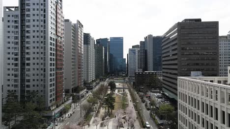 Luftdrohne-Fliegt-über-Die-Innenstadt-Von-Seoul-Und-Kirschblütenbäume,-Südkorea