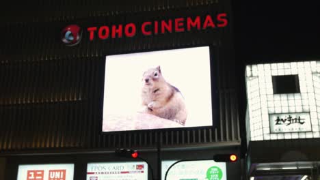 Toho-cinema-front-shot-from-outside,-showing-large-screen-during-night