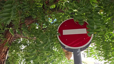 A-'No-Entry'-traffic-sign-hidden-behind-the-leaves-of-the-trees-in-UAE