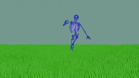 Skeleton-samba-dance-in-grassland-