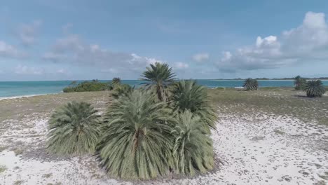 Los-Roques,-Caribbean-sea