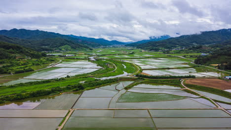 Time-lapse-aerial-forward-scenic-rice-paddy-field-and-cloudscape,-South-Korea