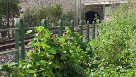 Panoramic-of-the-train-track-to-the-tunnel-on-a-sunny-day