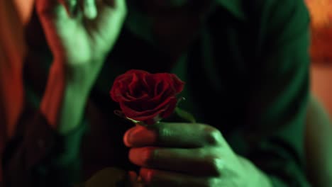 Hand-plucking-red-rode-petals-in-green-light,-close-up,-effeuiller-la-marguerite