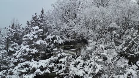 Winter-Wonderland-forest-aerial-descending-from-Snow-Covered-Observation-Deck