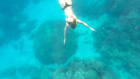 Hombre-Buceando-Bajo-El-Agua-En-La-Gran-Barrera-De-Coral-Dando-Pulgares-Hacia-Arriba