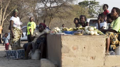 Wide-shot-of-fruit-sellers-on-the-side-of-the-road-in-Zimbabwe,-Africa