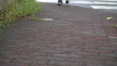 Japanese-woman-walking-on-the-pedestrian-pathway,-Japan