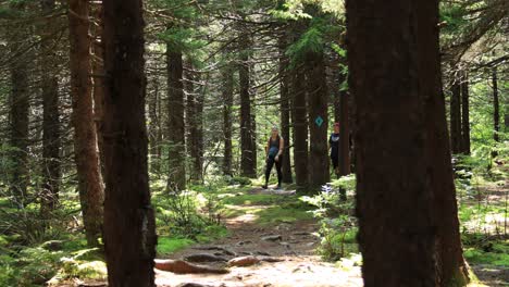 A-group-of-men-and-women-hike-on-the-Huckleberry-Trail,-located-within-the-Spruce-Knob-Seneca-Rocks-National-Recreation-Area-in-West-Virginia