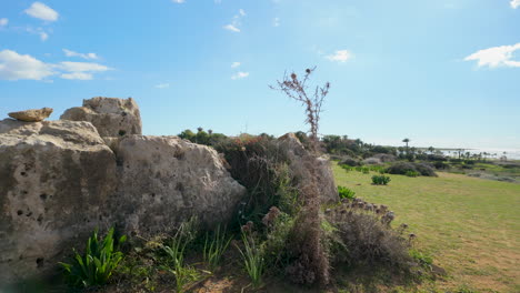 A-close-up-of-ancient-rock-formations-with-greenery-at-the-Tombs-of-the-Kings-in-Pafos,-Cyprus,-under-a-clear-sky