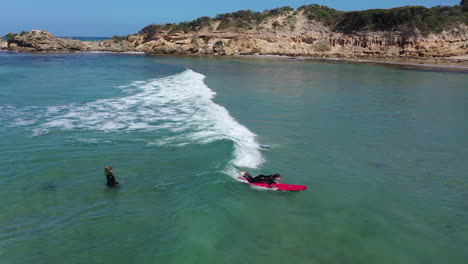 Aérea:-Dos-Jóvenes-Estudiantes-De-Surf-Atrapan-La-Misma-Pequeña-Ola-En-La-Orilla